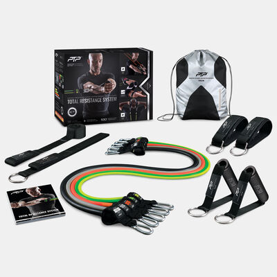 نظام ريسيستنس المتكامل