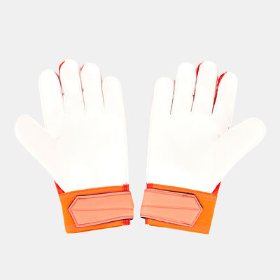 قفازات بريداتور ايدج ترينينج للرجال قفازات بريداتور ايدج ترينينج للرجال