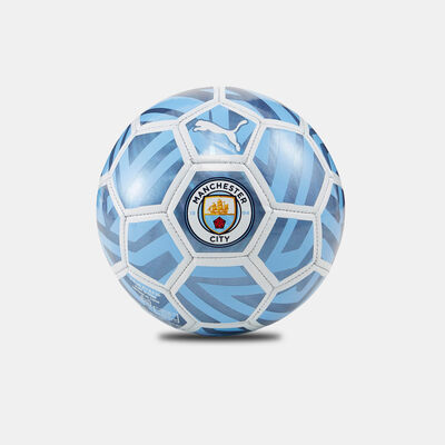 كرة قدم مانشستر سيتي F.C. فان ميني